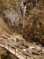 2014-04-12_Kochel-WFall_Kraeuter (274).JPG